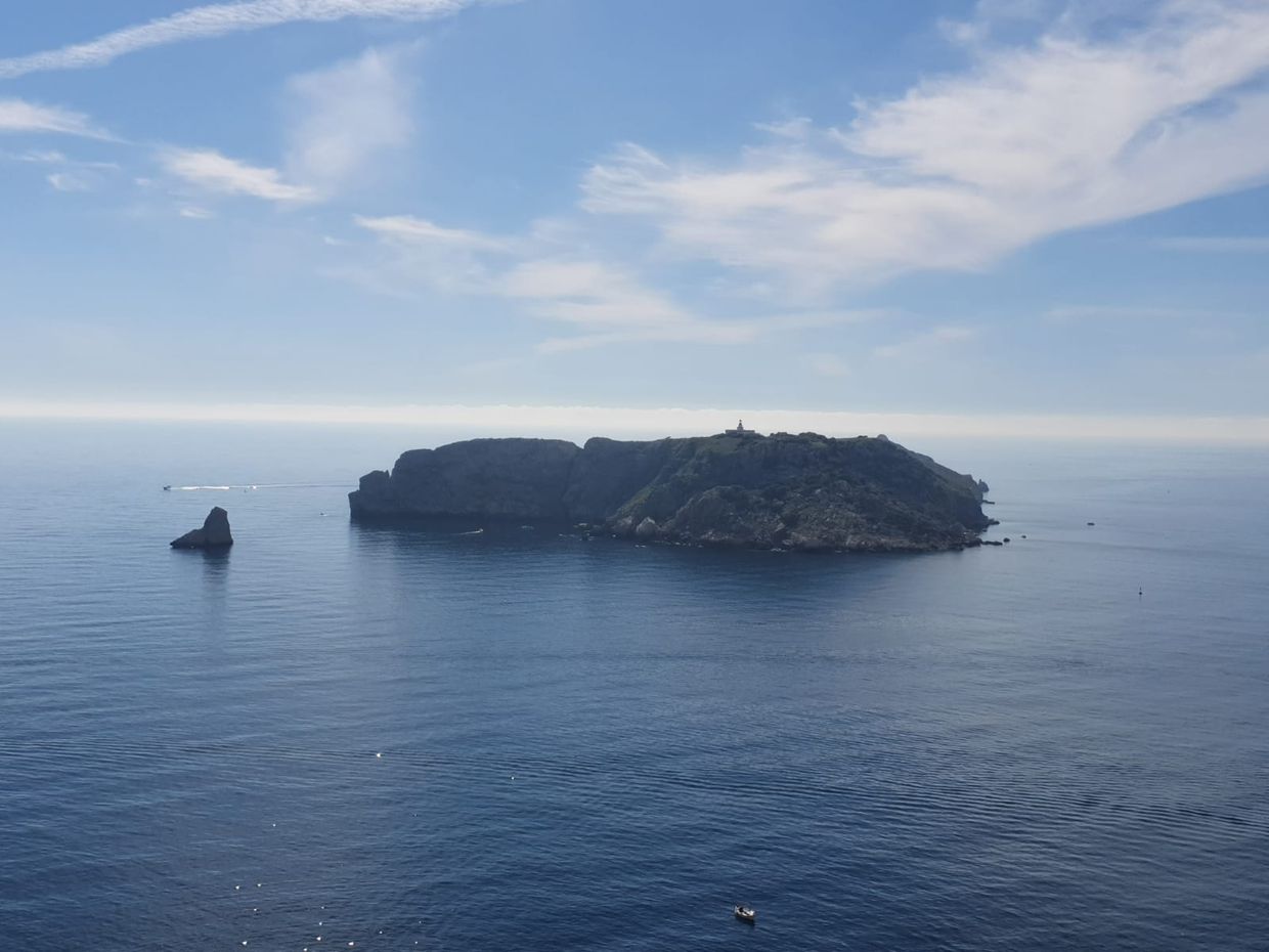alquiler de barcos y experiencias náuticas